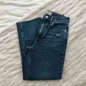 Everlane The Way-High Jean Distressed